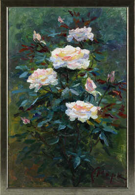 Смирнов Марк Александрович. Чайная роза